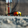 MEGA Bomb Safety - Photochromic Fire Red Orange Mirror